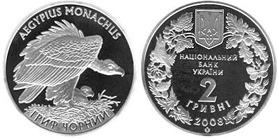 Гриф Чёрный. 2008 г.